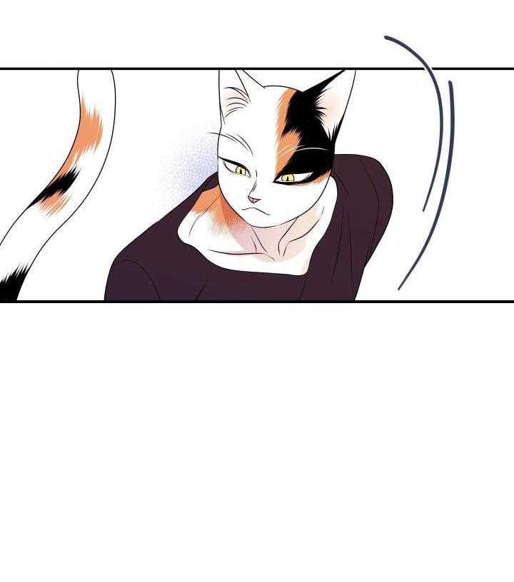 你是不是想赖账第33话图