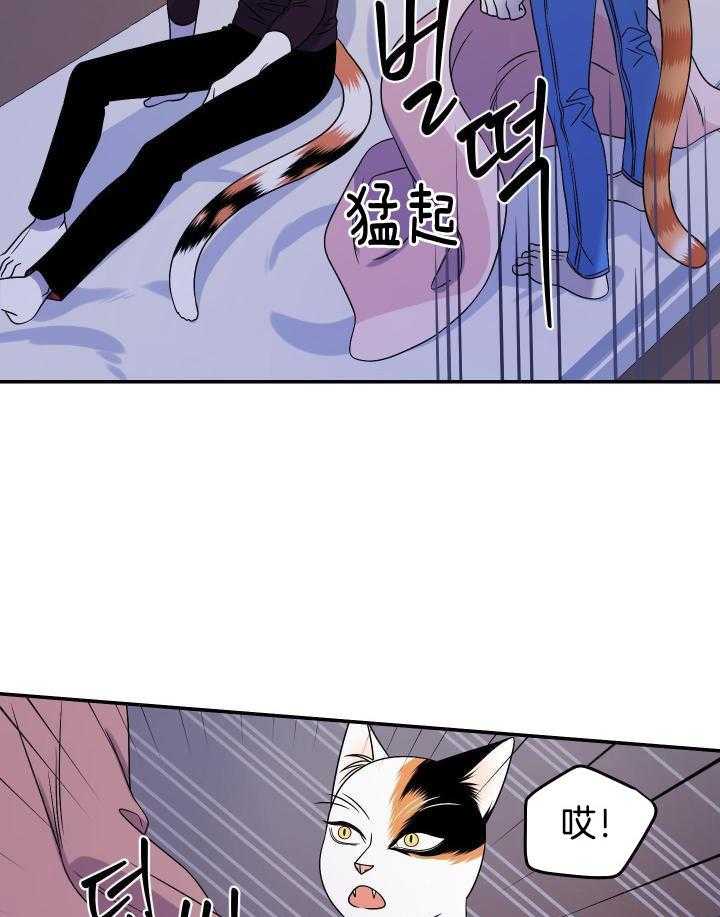 你是不是想赖账第37话图