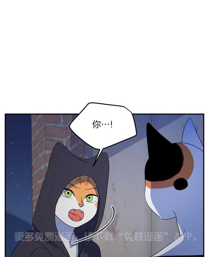 你是不是想赖账第43话图