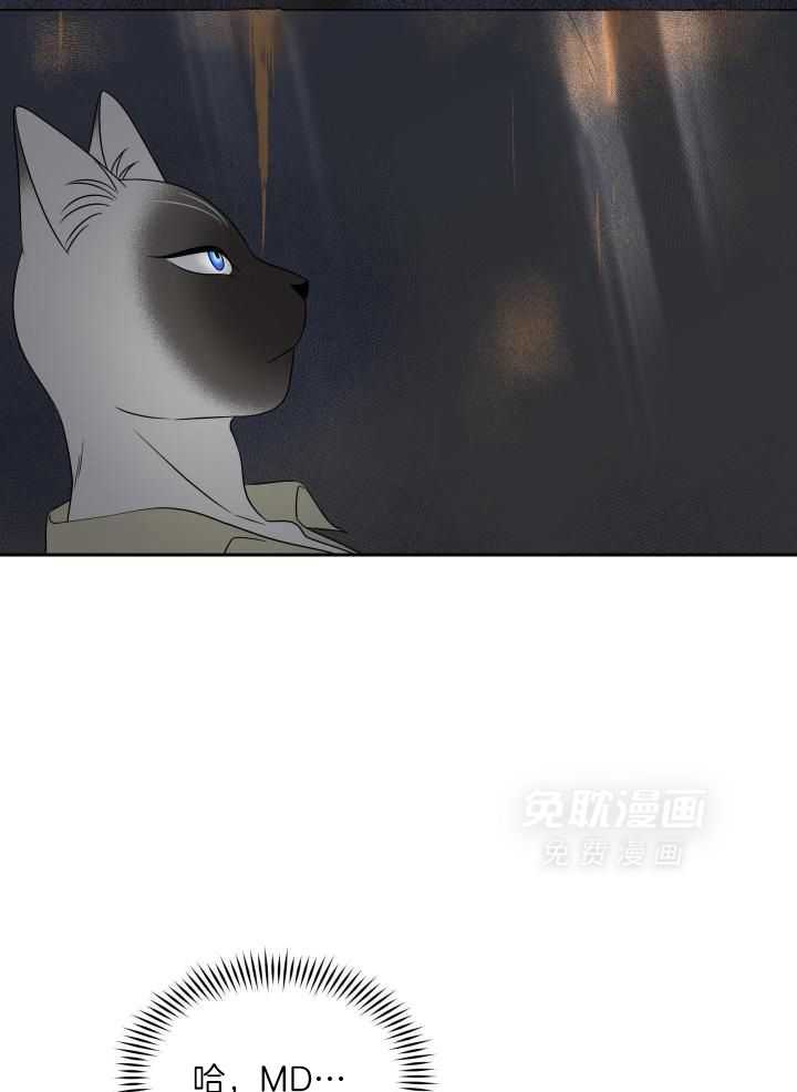 你是不是想赖账第46话图