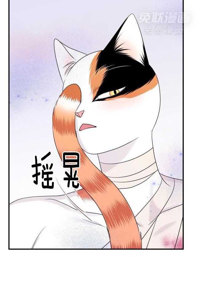 你是不是想赖账第55话图