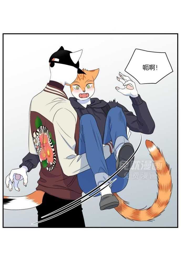 你是不是想赖账第71话图