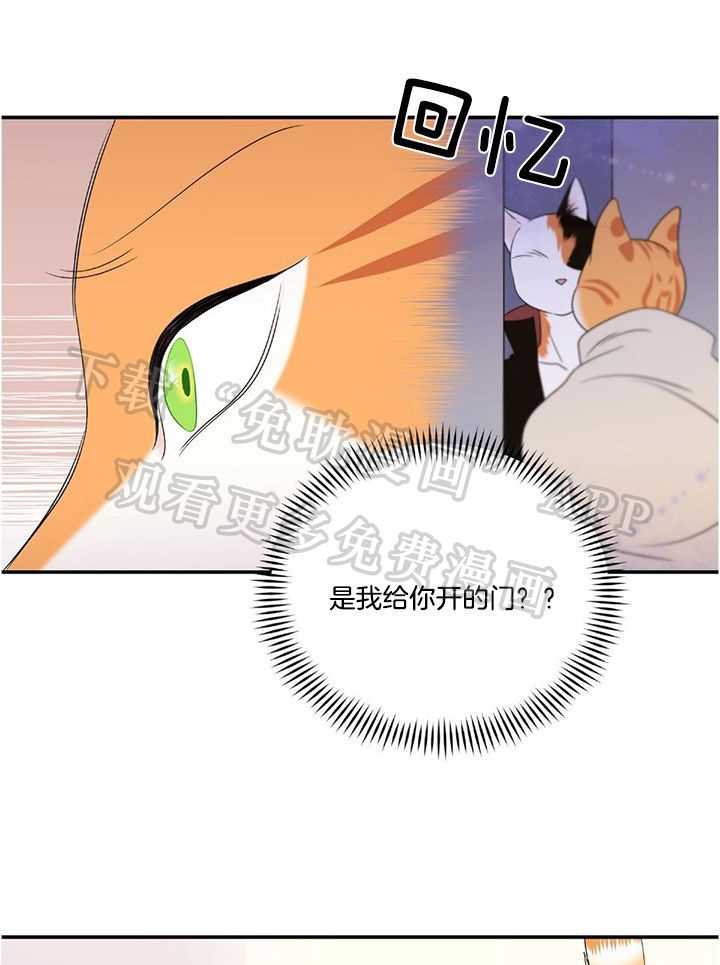 你是不是想赖账第8话图