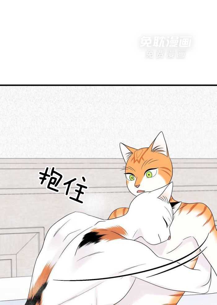 你是不是想赖账第82话图