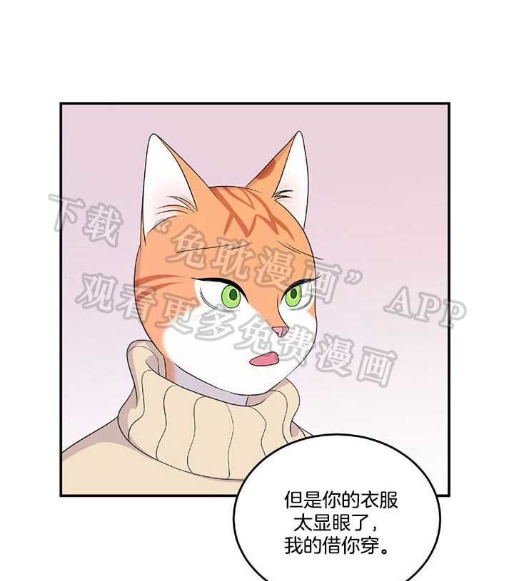 你是不是想赖账第9话图