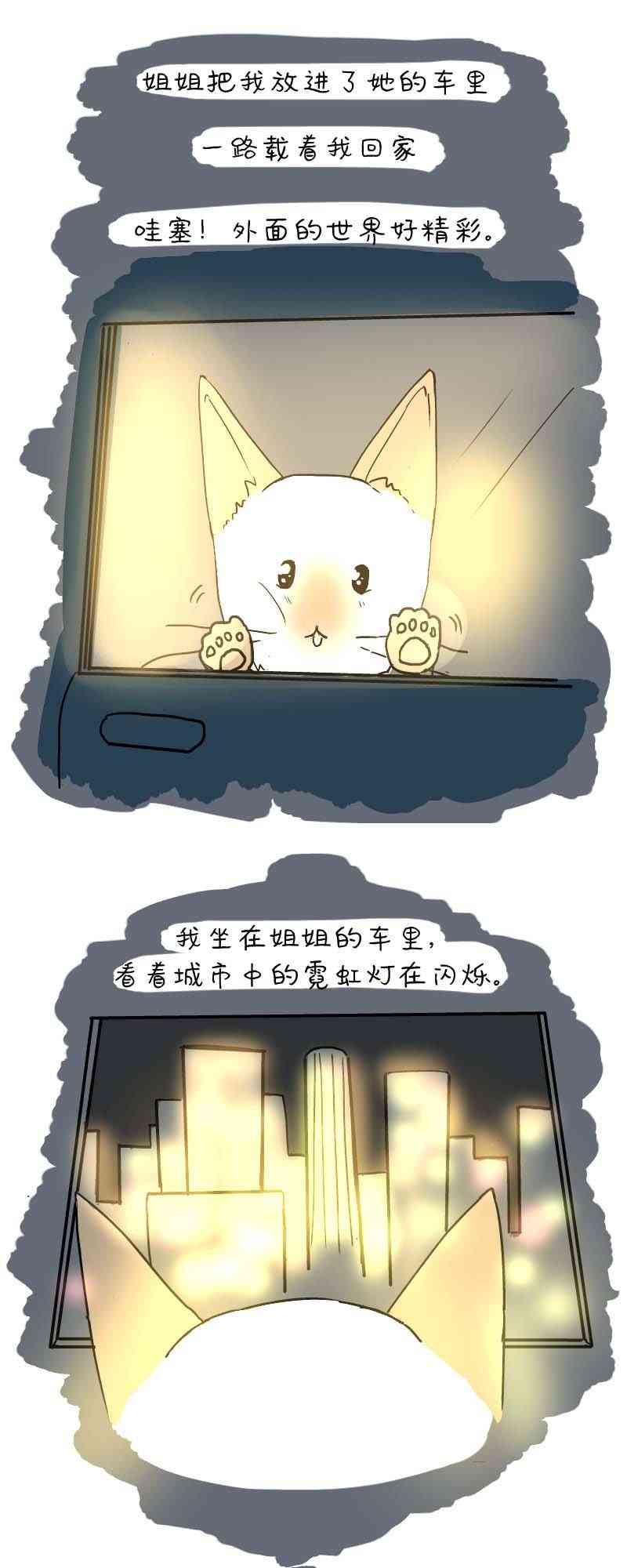 您有一封来自喵喵的信1话图