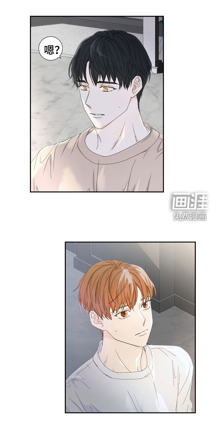 你珍惜的血液第25话图