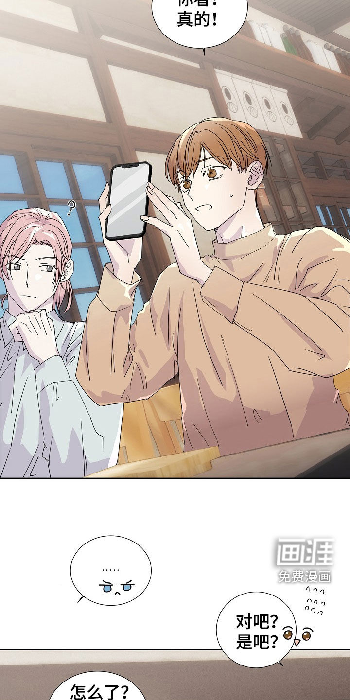 你珍惜的血液第29话图