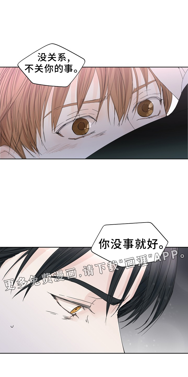 你珍惜的血液第43话图