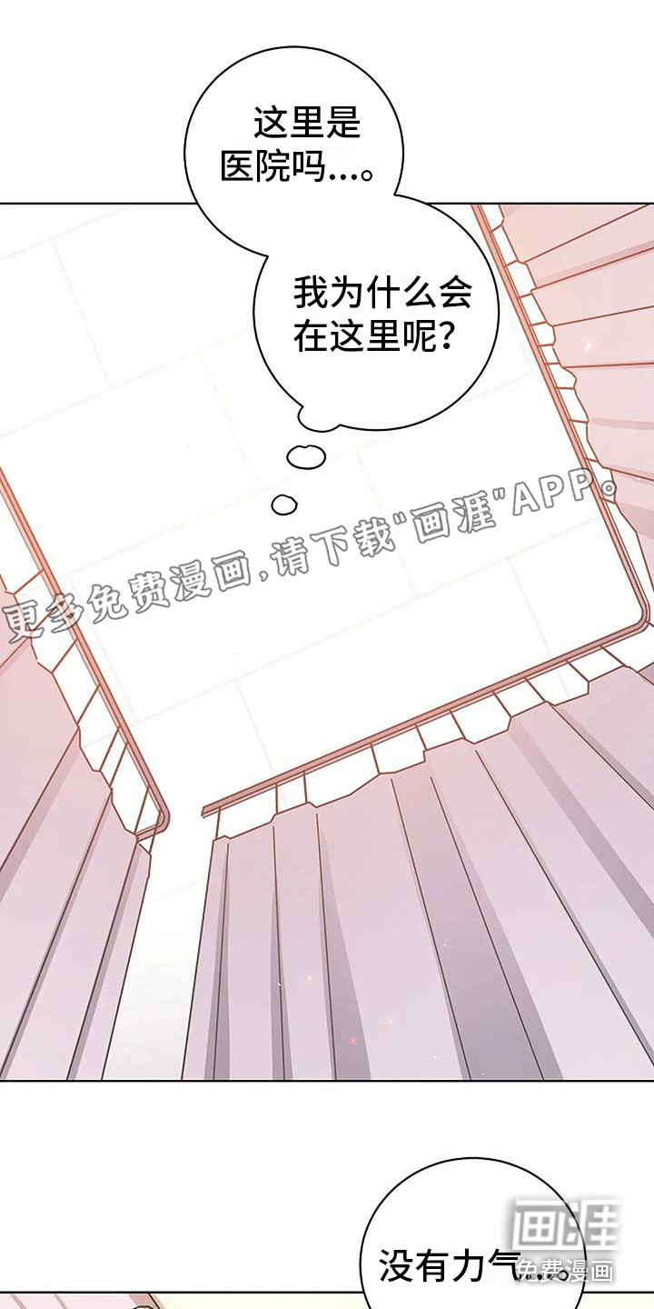 牛奶和奶油第11话图