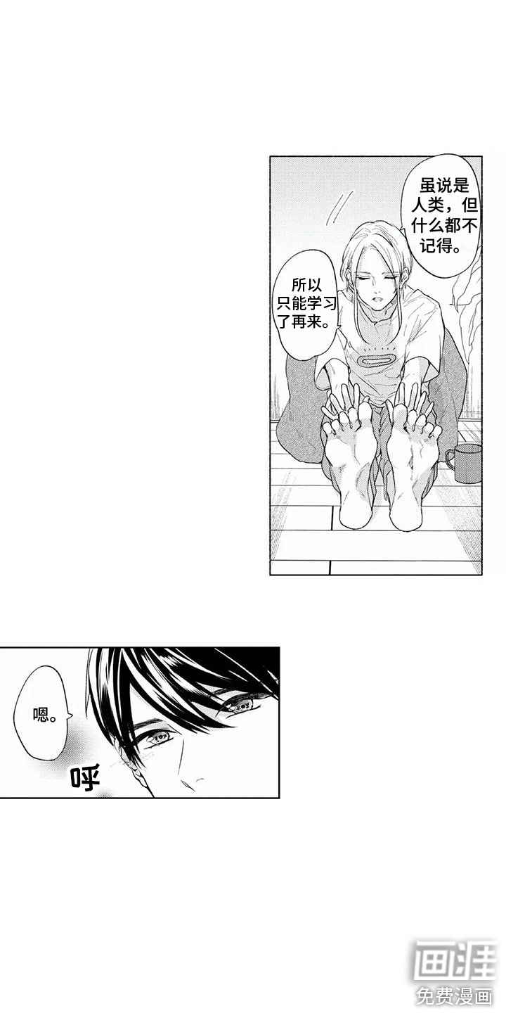 男人的幸福结局 第13话 第12页