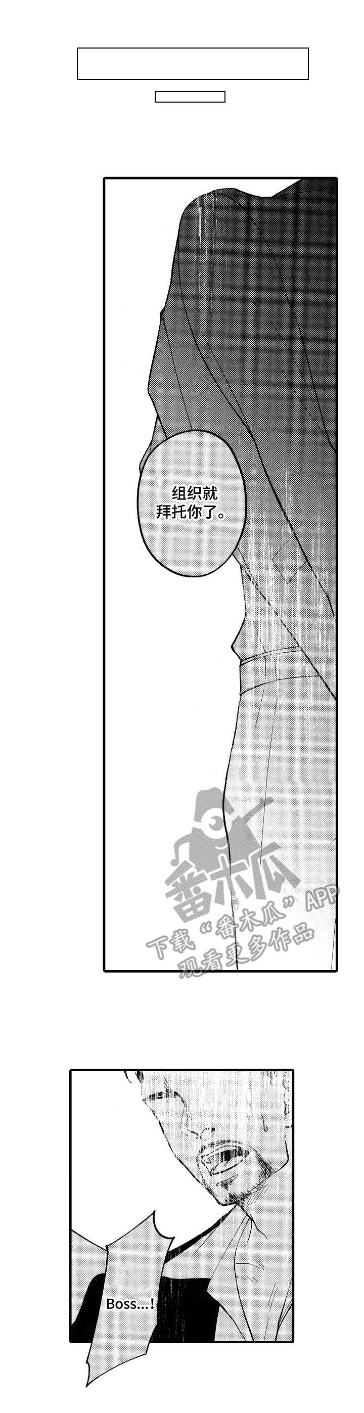 你好娃娃脸第10话图