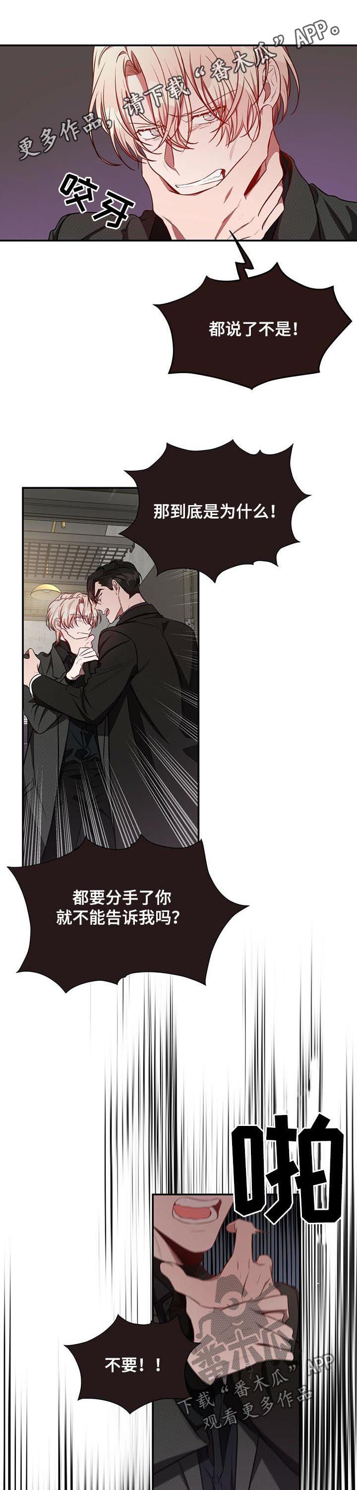 纽约秘事第37话图