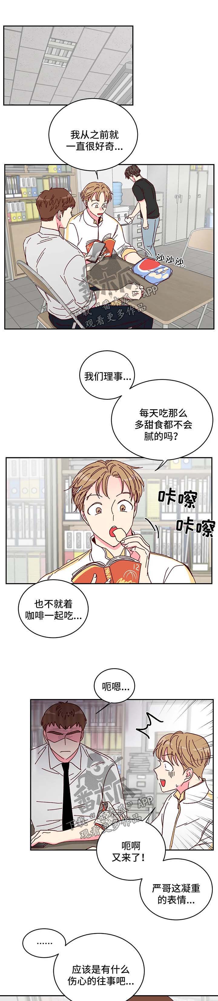 奶油蛋糕第12话图