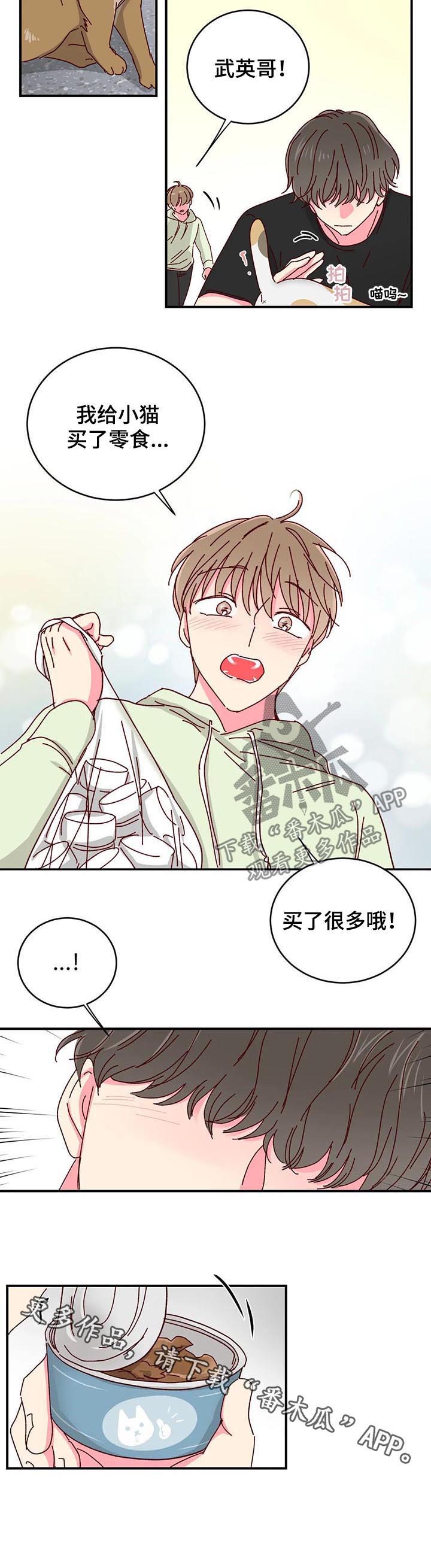 奶油蛋糕第29话图