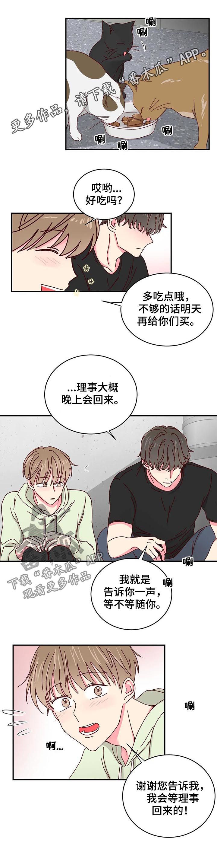 奶油蛋糕第30话图