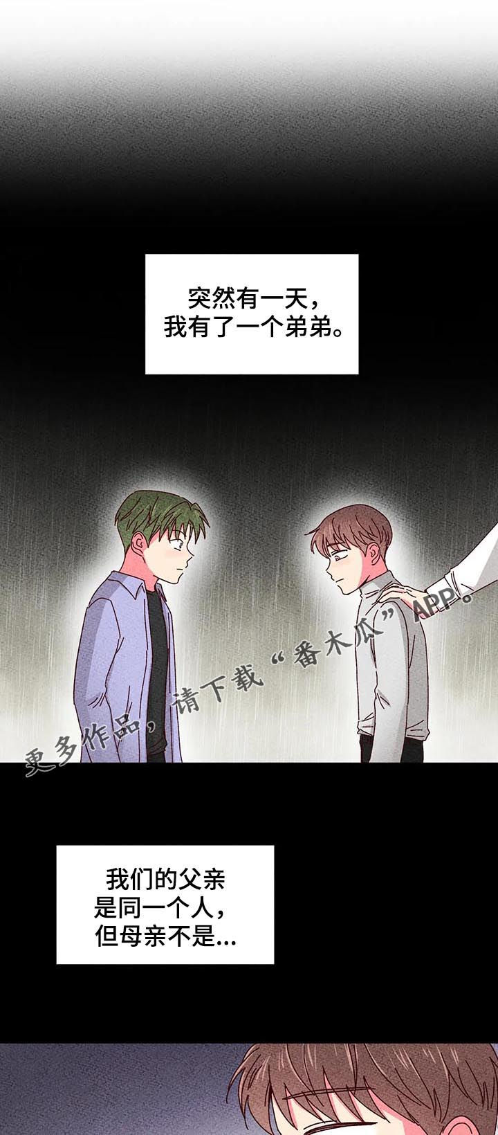 奶油蛋糕第37话图