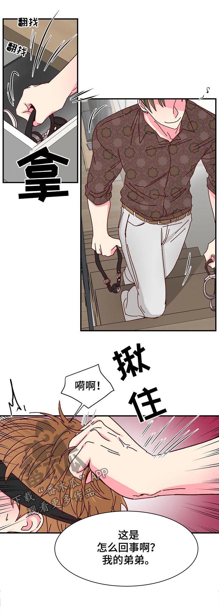 奶油蛋糕第37话图