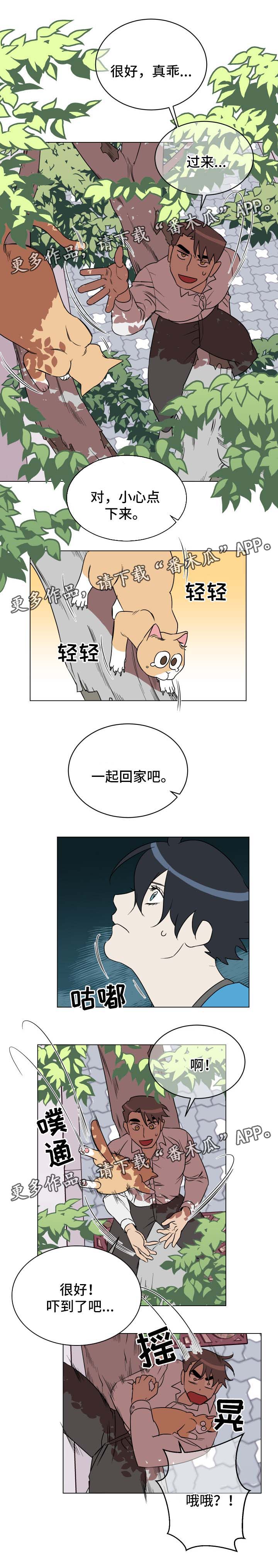 年下策略第32话图