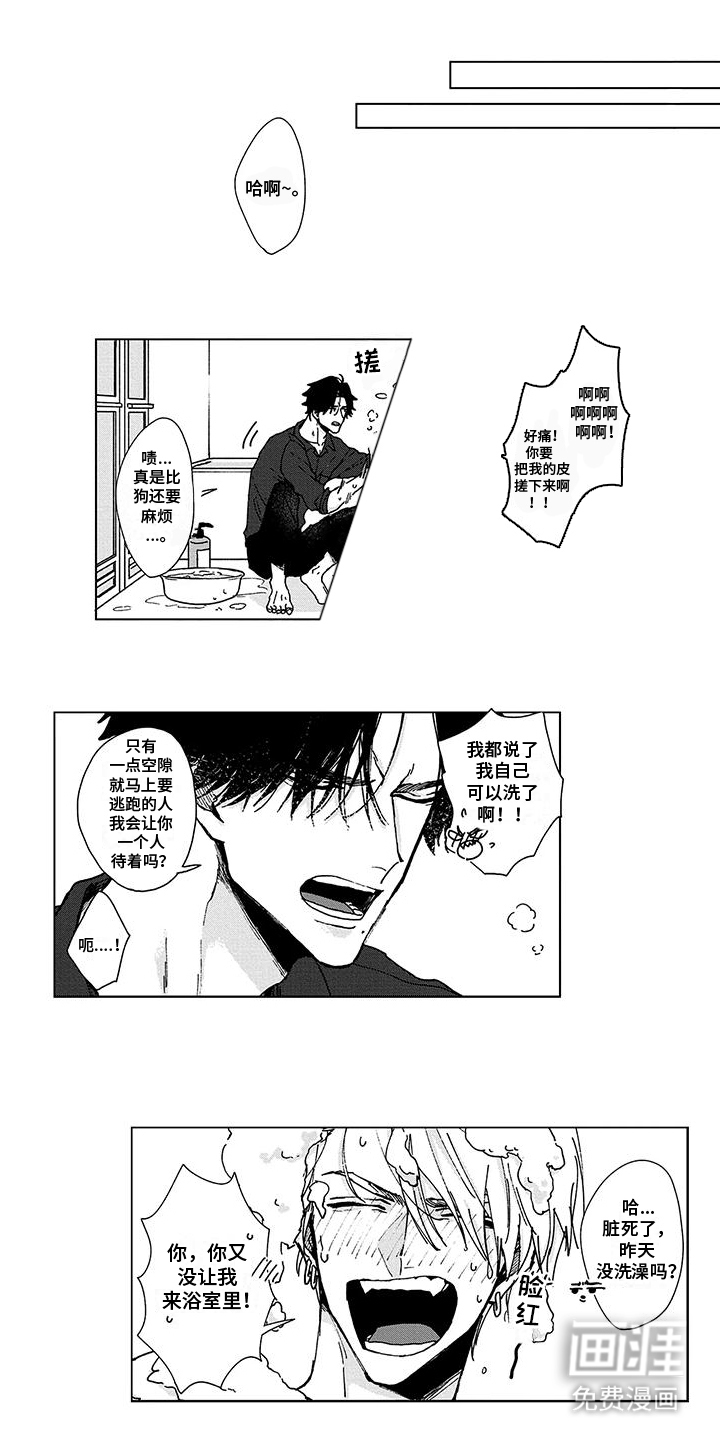 那晚的同伴第10话图