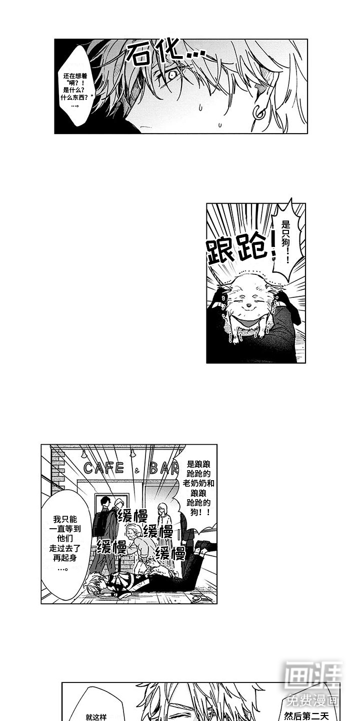 那晚的同伴第11话图