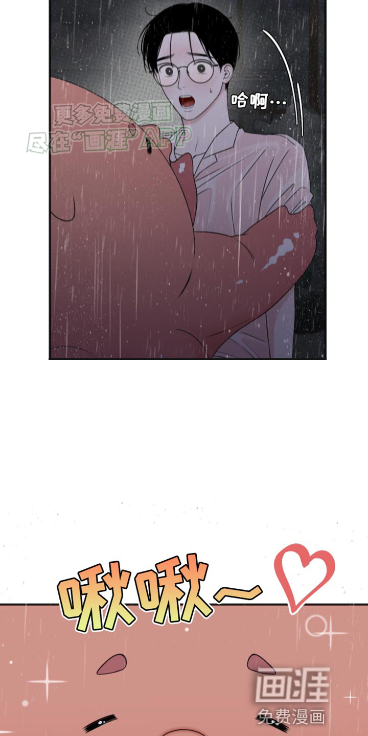 黏糊糊章鱼第10话图