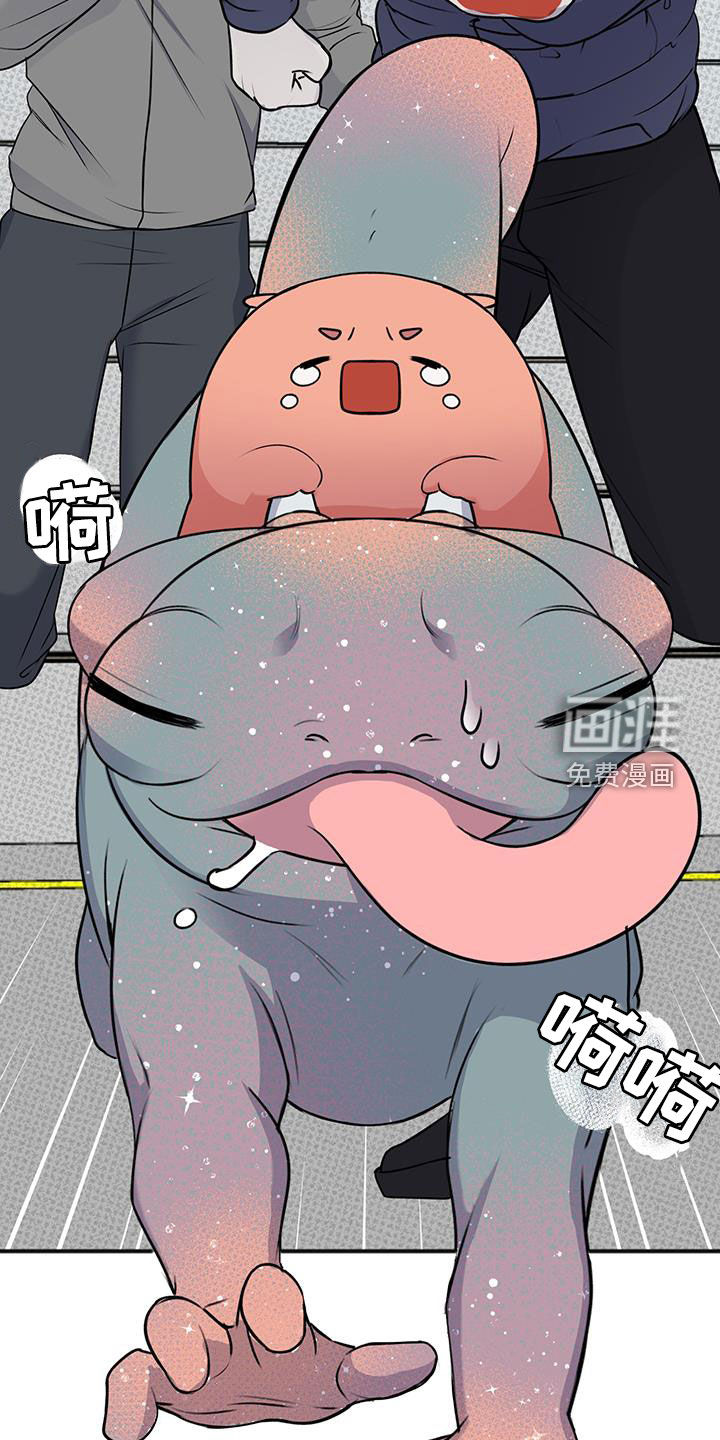 黏糊糊章鱼第35话图