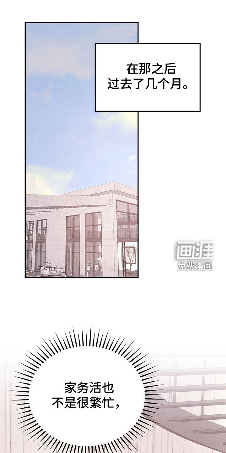 男友成双第41话图