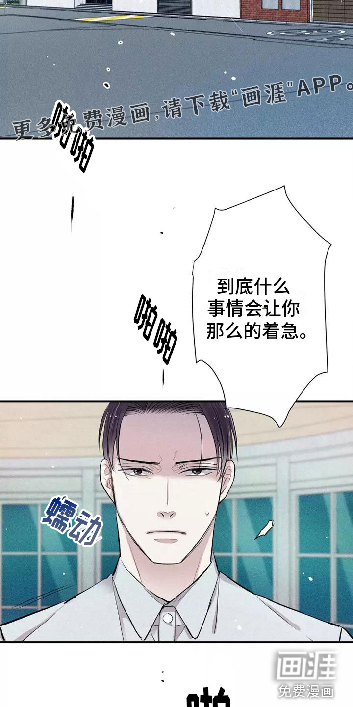 念念不忘第11话图