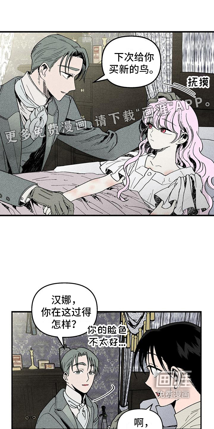 女巫岛第12话图