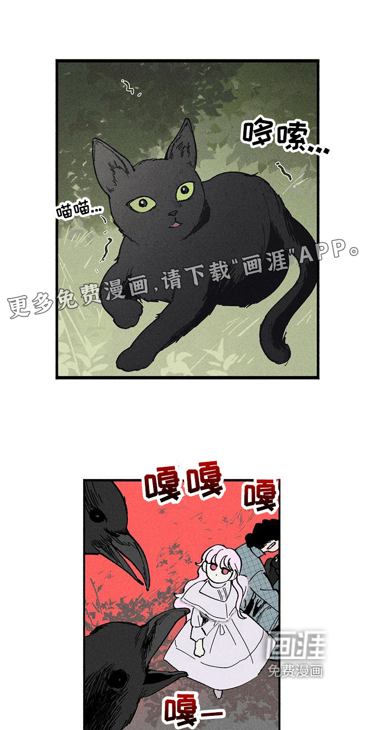 女巫岛第15话图