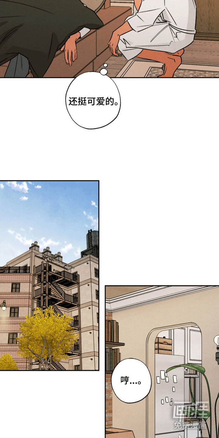 拿下洁癖律师第17话图