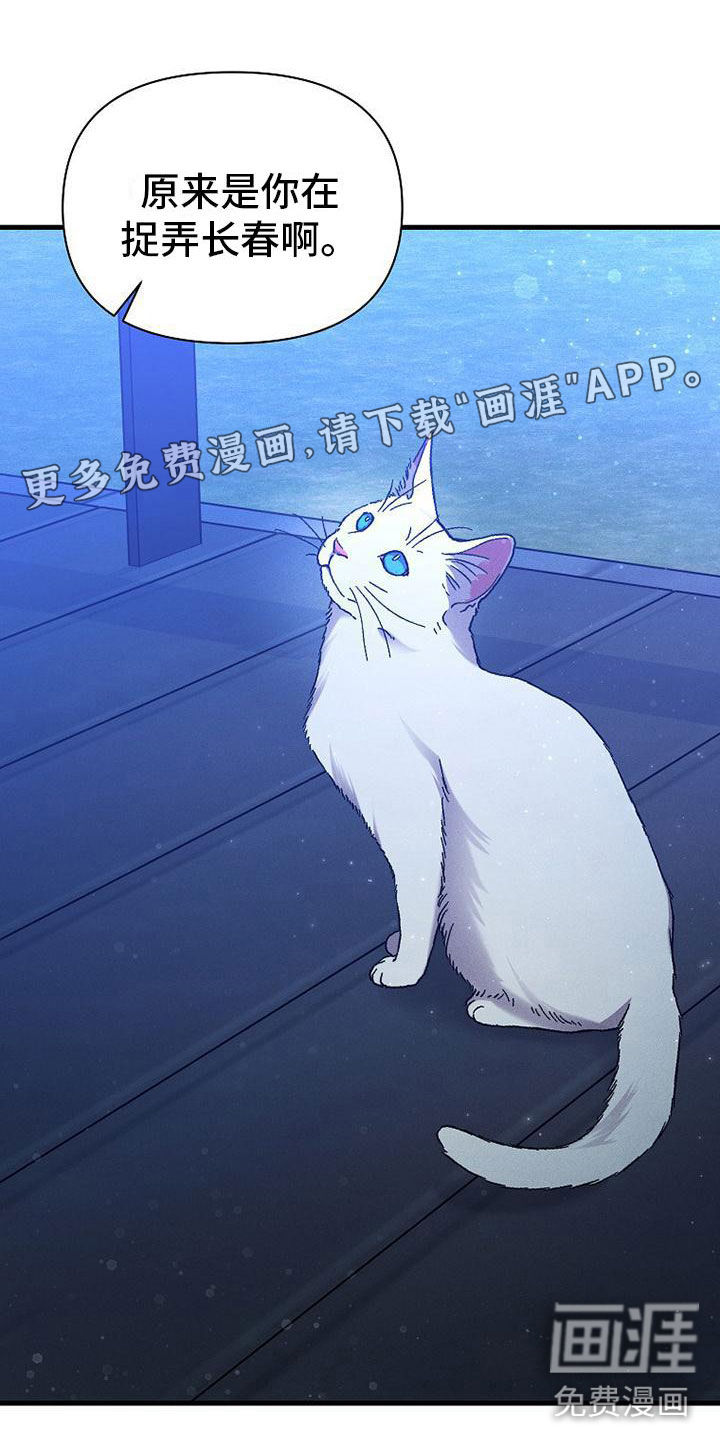 你是我的毒药第13话图