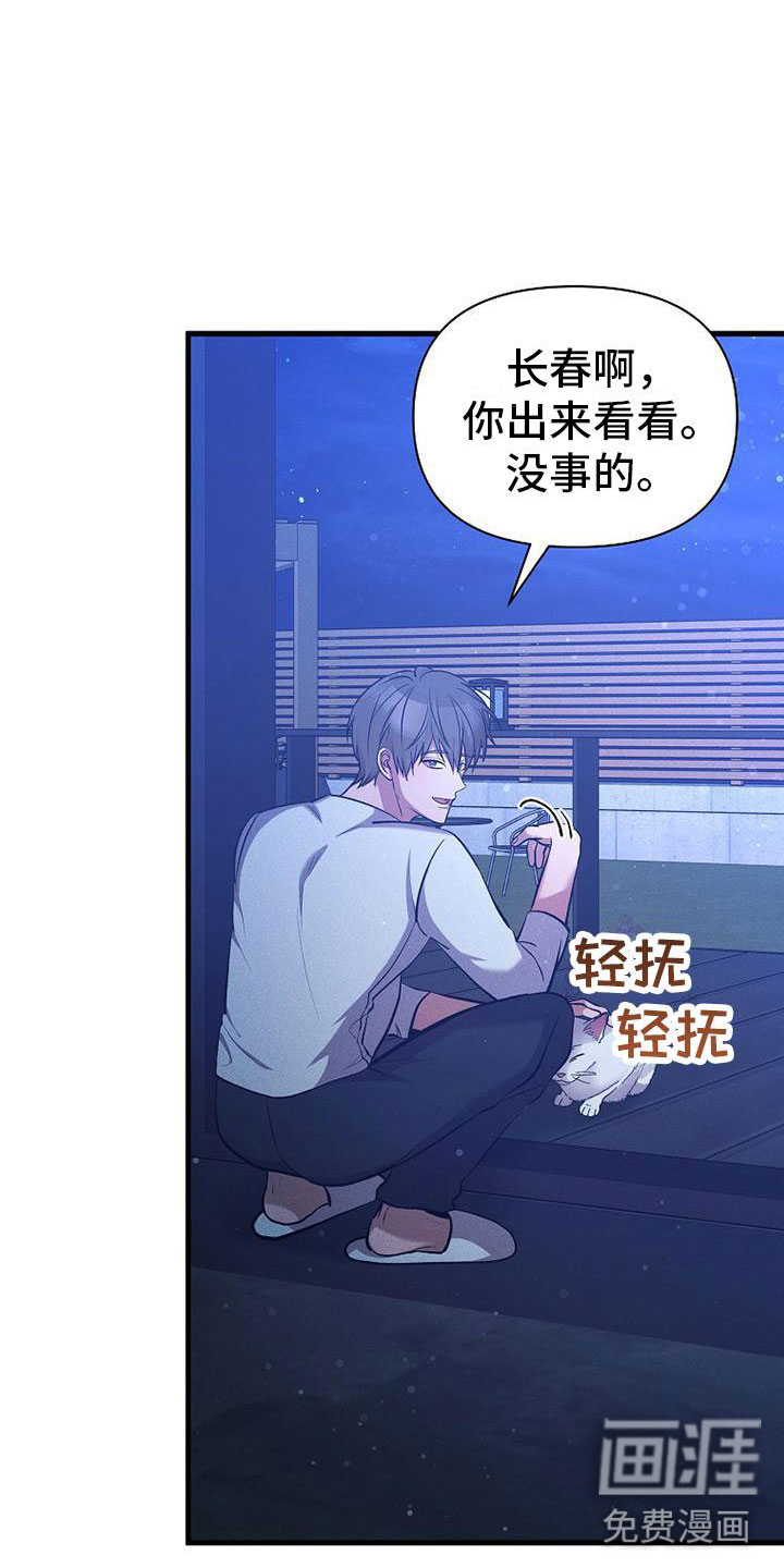 你是我的毒药第13话图