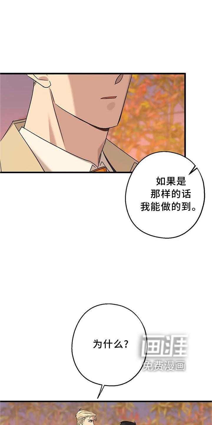 年下之恋第34话图