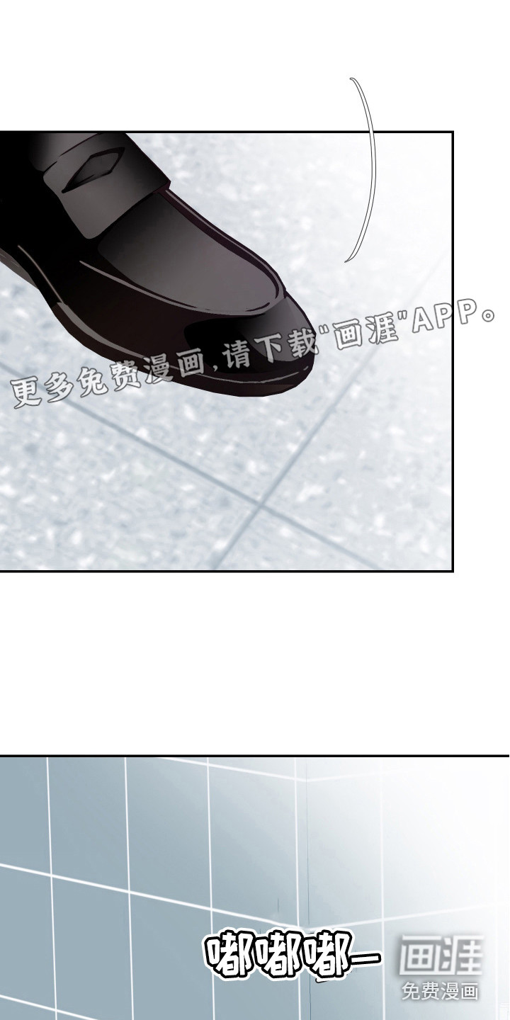 女性阿尔法第12话图