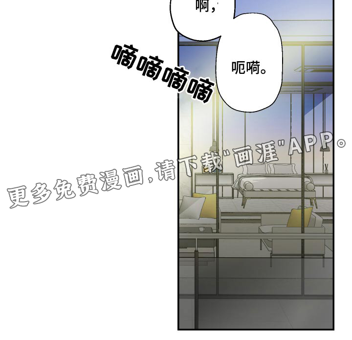 女性阿尔法第48话图