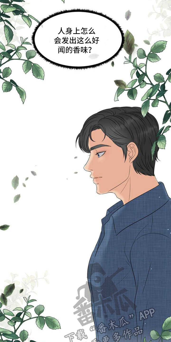 女性欧米伽第10话图