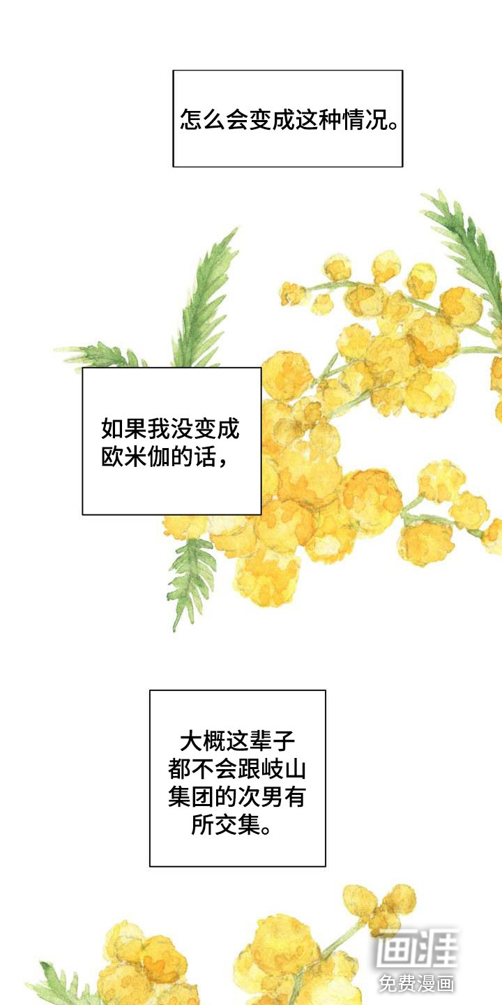 女性欧米伽第40话图