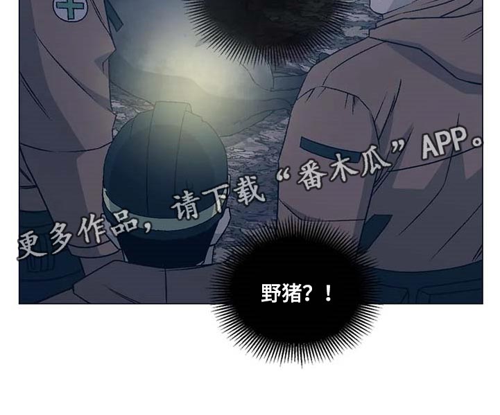 暖心杀手第39话图