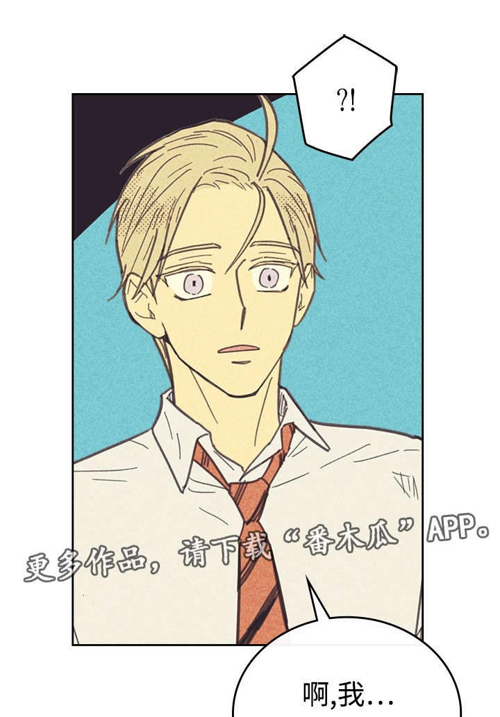 内或外第36话图