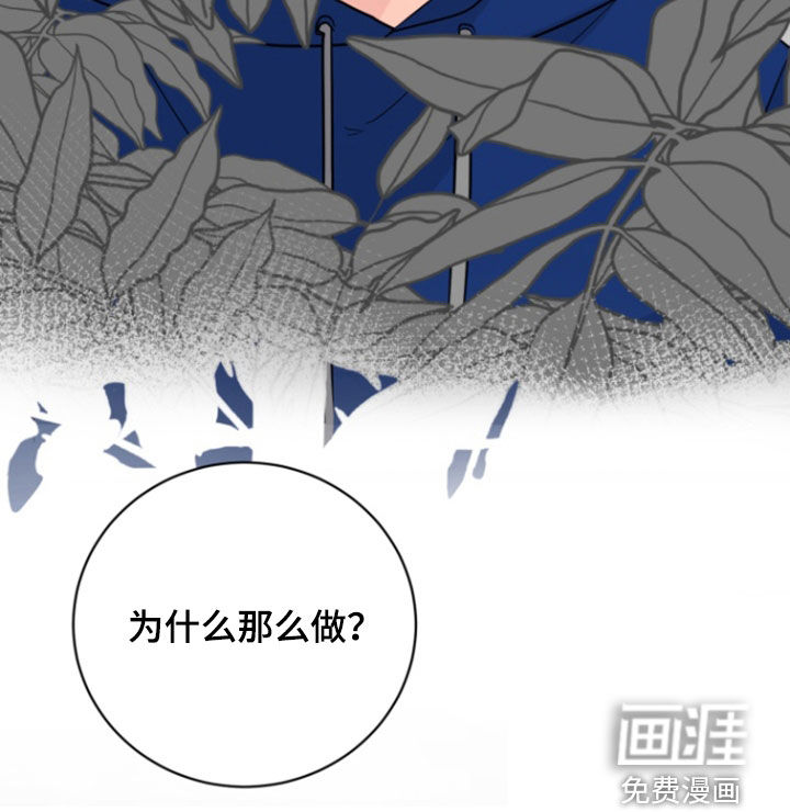 男人的夜晚第20话图