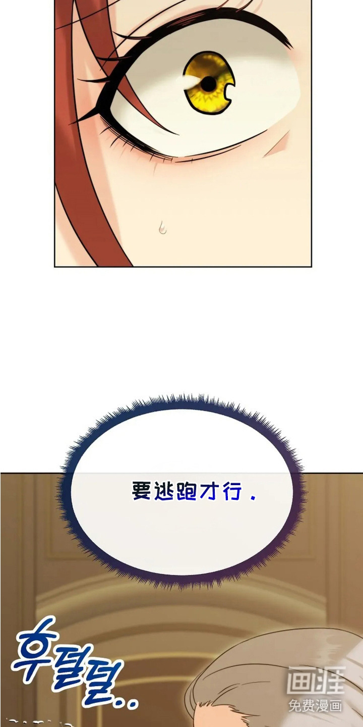 女仆之夜第3话图