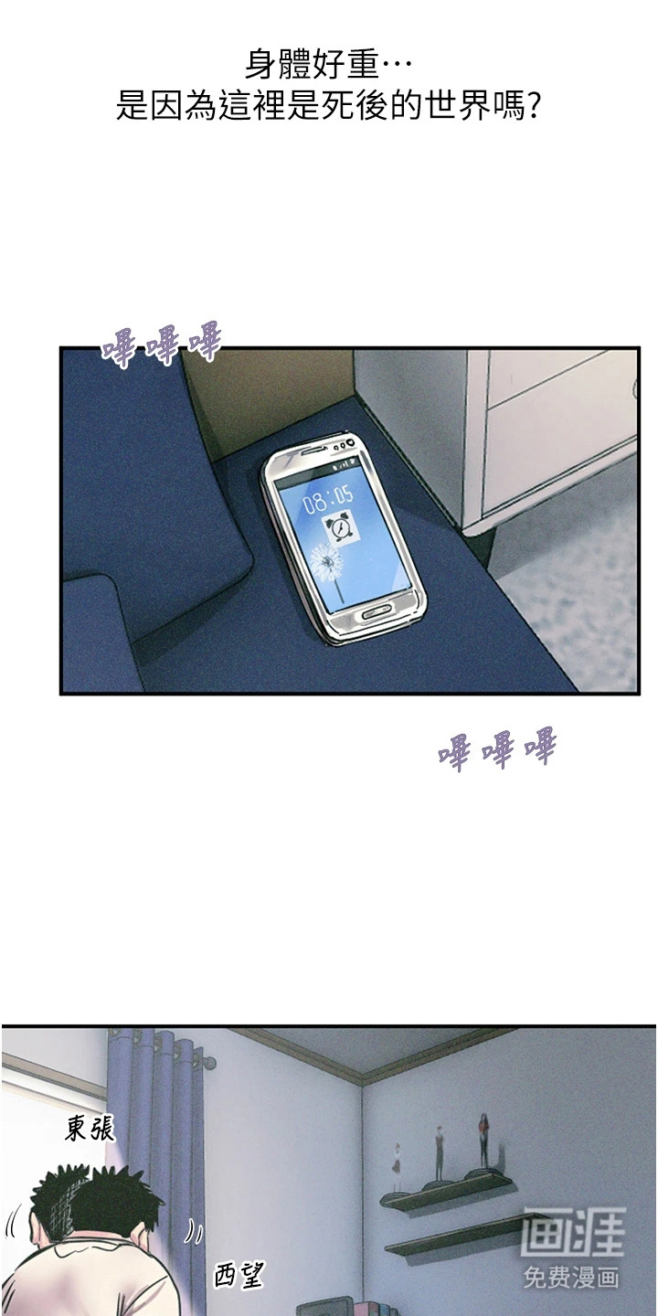 逆命复仇第1话图