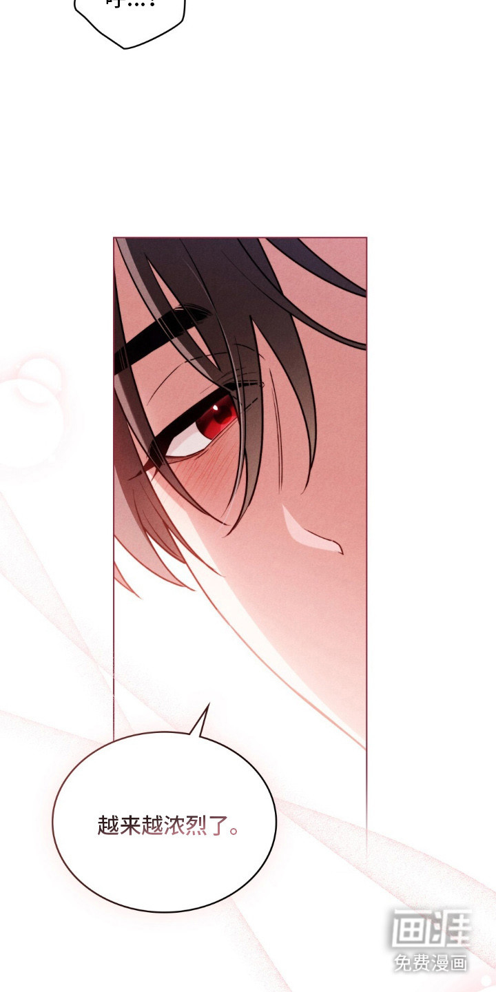 暖冬孤狼伴第1话图