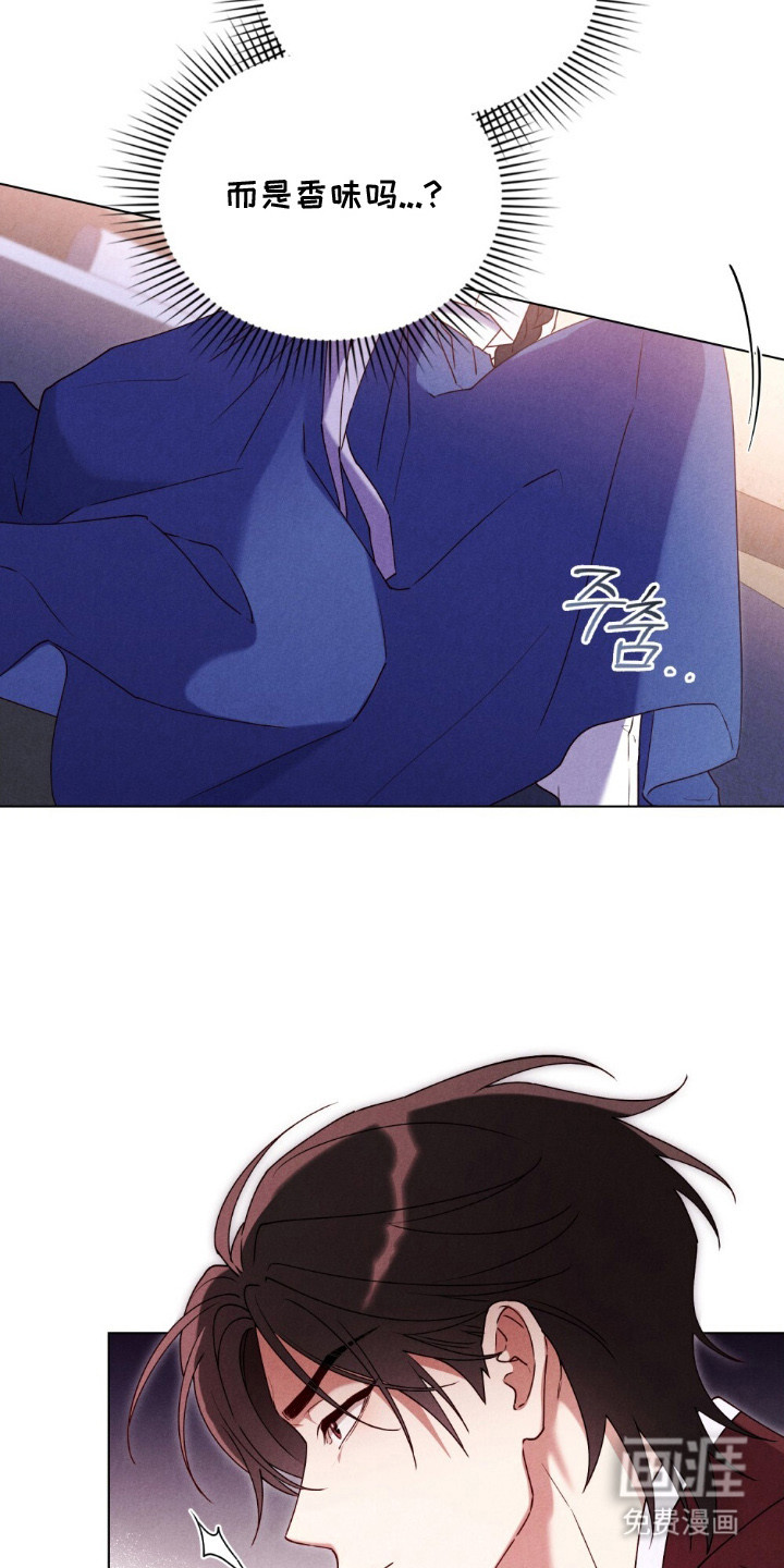 暖冬孤狼伴第1话图