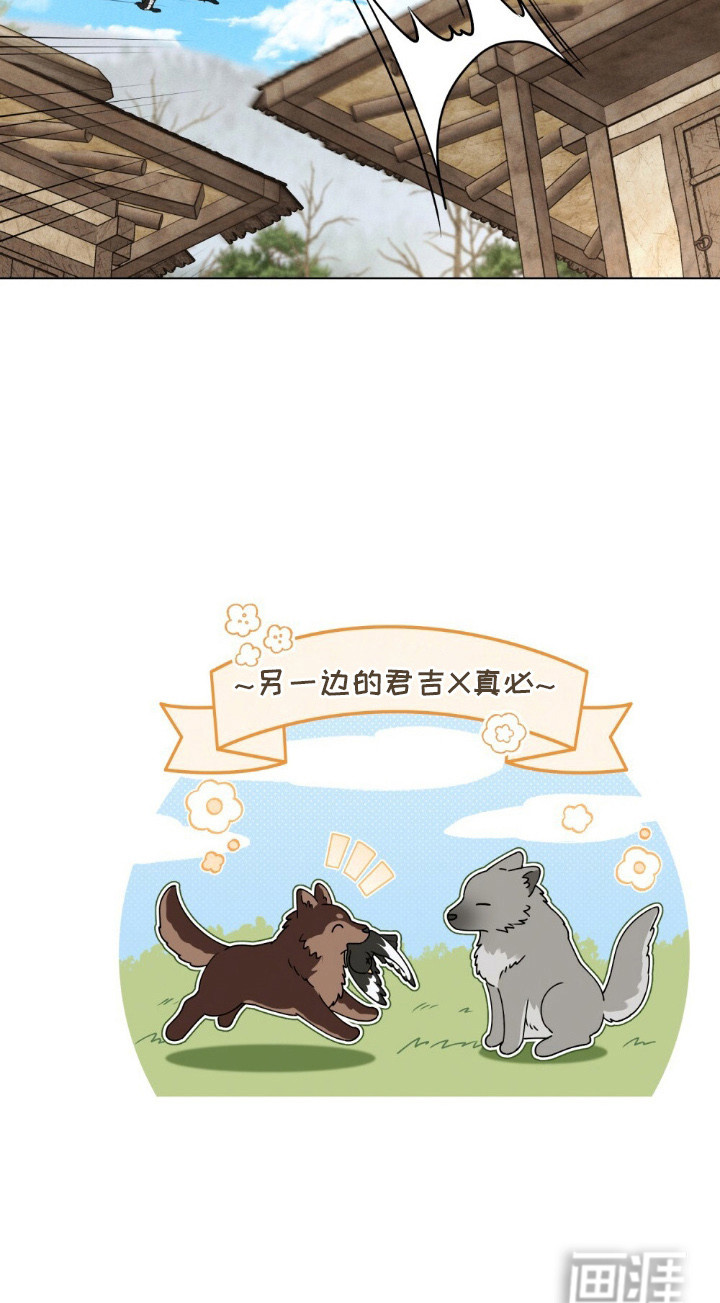 暖冬孤狼伴第13话图