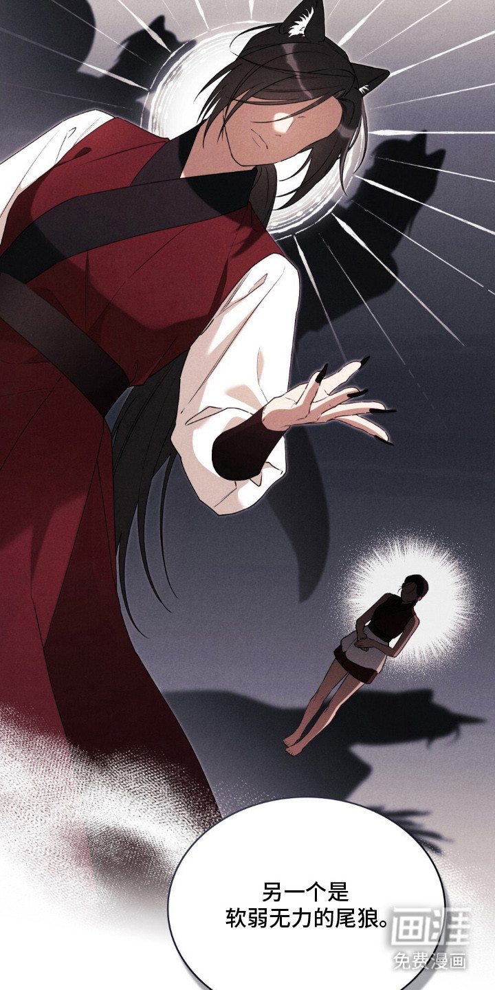 暖冬孤狼伴第4话图