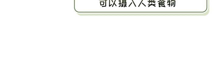 暖冬孤狼伴第4话图