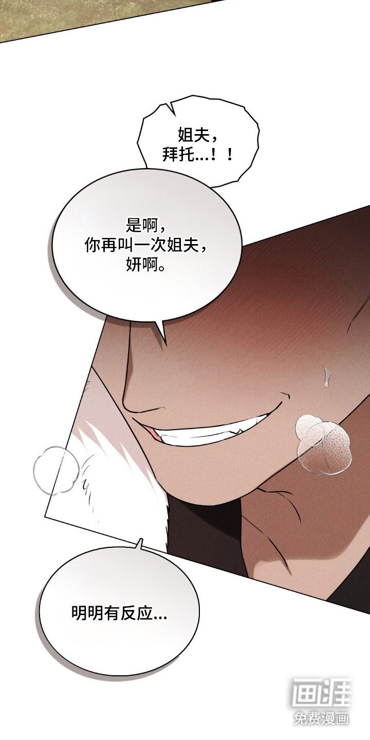 暖冬孤狼伴第5话图